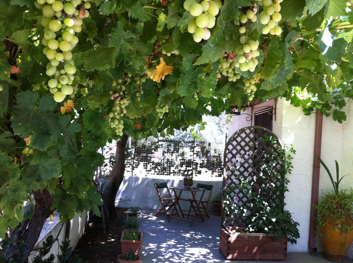 B&B Villa Lucia Mesagne Exterior photo